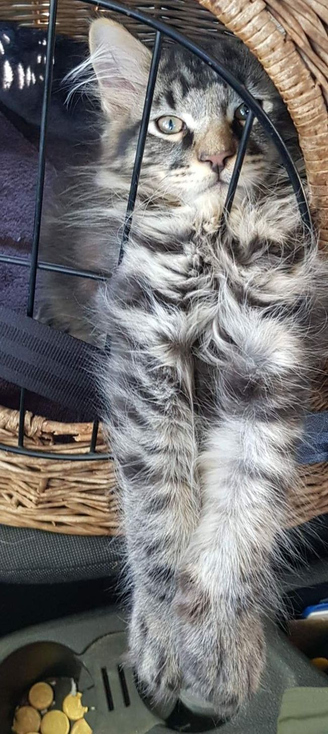 20190921 111415 Resized