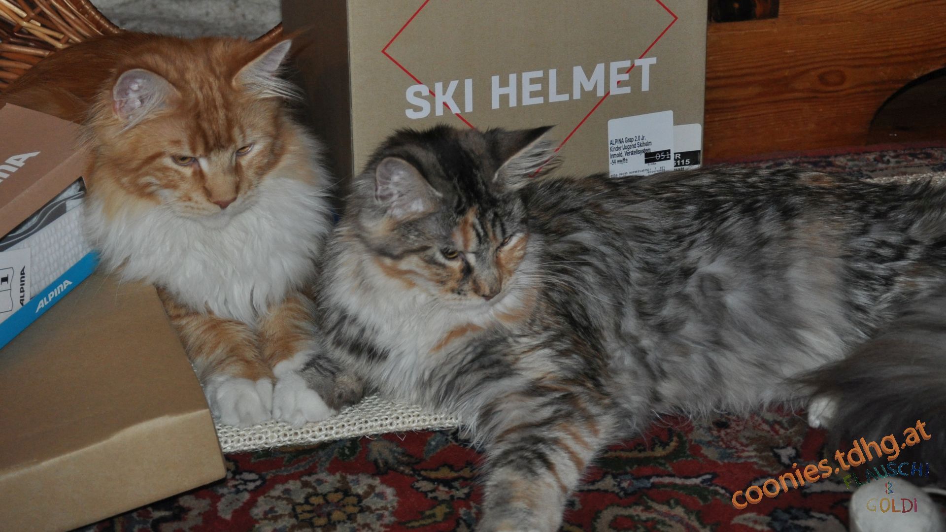 20181225 212102 N4K 2