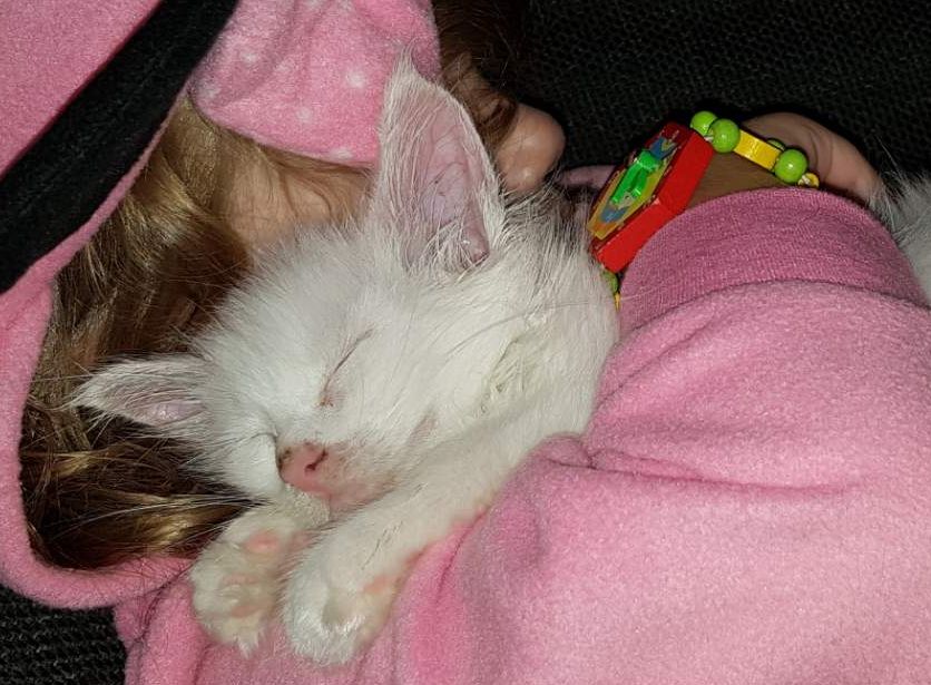 20190908 191855 Resized