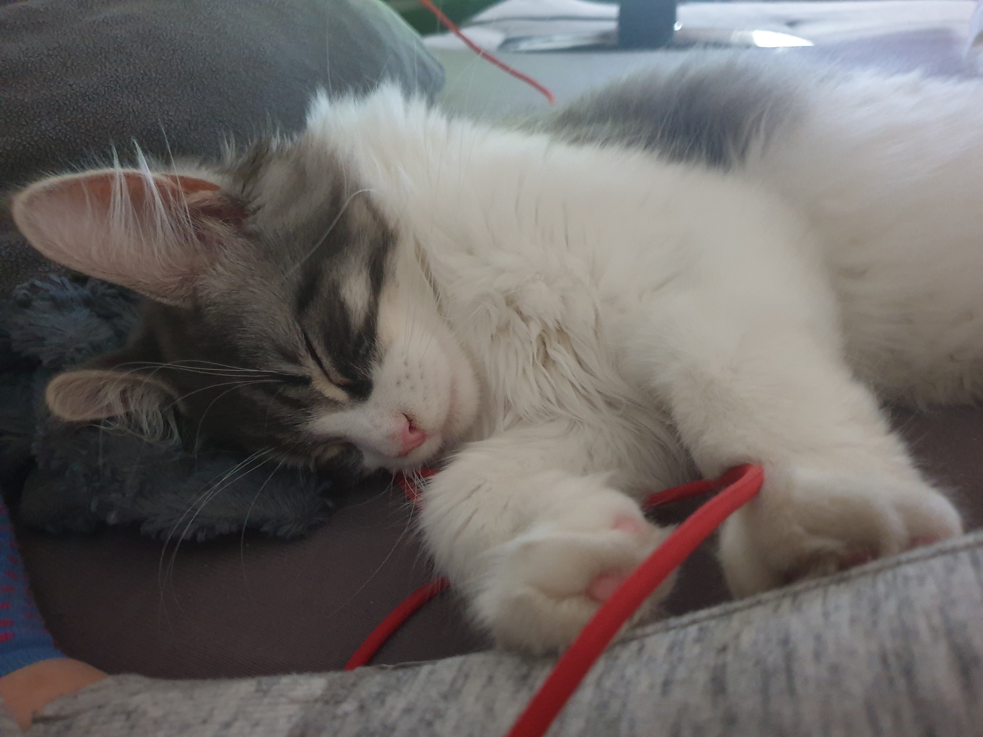 Leilani Kater 4Monate